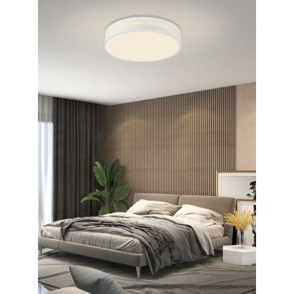 Immax NEO 07153-W40 - Lámpara de techo LED regulable NEO LITE PERFECTO LED/24W/230V Wi-Fi Tuya blanca + mando a distancia
