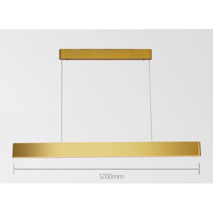 Immax NEO 07157-G120X - LED RGB+CCTW Lámpara colgante regulable MILANO LED/40W/230V Tuya dorado