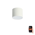 Immax NEO 07241L - Lámpara de techo LED regulable RONDATE LED/18W/230V 11,5cm Wi-Fi Tuya