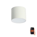 Immax NEO 07243L - Lámpara de techo LED regulable RONDATE LED/32W/230V 16,5 cm Wi-Fi Tuya