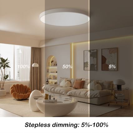 Immax NEO 07253L - Plafón LED regulable NEO LITE SEMPLICI LED/60W/230V 3000-6000K Wi-Fi Tuya blanco + control remoto