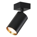 Immax NEO 07261Z -  LED RGB+CCT Foco regulable NEO PUNTO 1xGU10/4,8W/230V Tuya