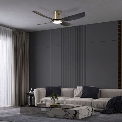 Immax NEO 07282L - Ventilador de techo con luz LED+CCT regulable PURE LED/24W/230V 3000/4000/6000K Wi-Fi Tuya + mando a distancia
