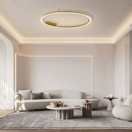 Immax NEO 07290-120G - LED+CCT Luminaria de techo regulable FINO LED/55W/230V 2700-6500K Tuya diámetro 120 cm + mando a distancia