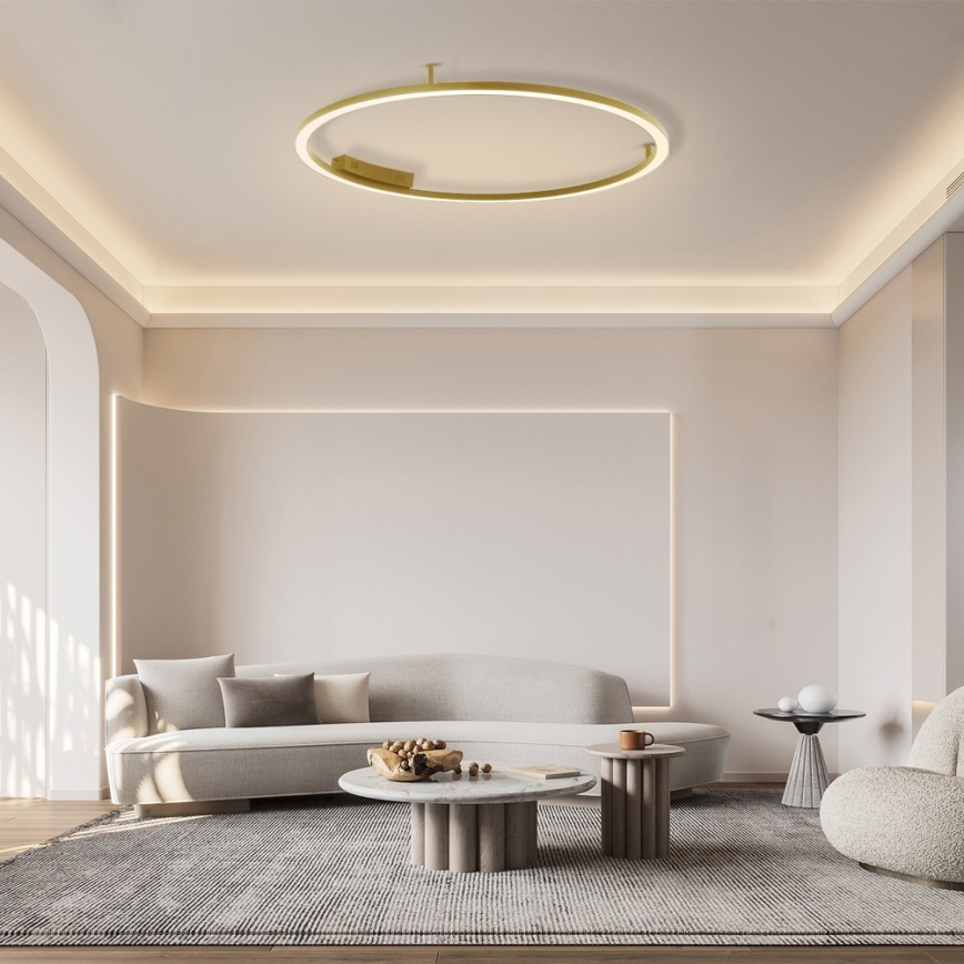 Immax NEO 07290-120G - LED+CCT Luminaria de techo regulable FINO LED/55W/230V 2700-6500K Tuya diámetro 120 cm + mando a distancia
