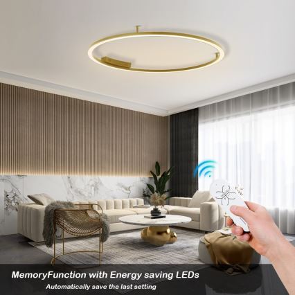 Immax NEO 07290-120G - LED+CCT Luminaria de techo regulable FINO LED/55W/230V 2700-6500K Tuya diámetro 120 cm + mando a distancia