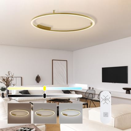 Immax NEO 07290-120G - LED+CCT Luminaria de techo regulable FINO LED/55W/230V 2700-6500K Tuya diámetro 120 cm + mando a distancia