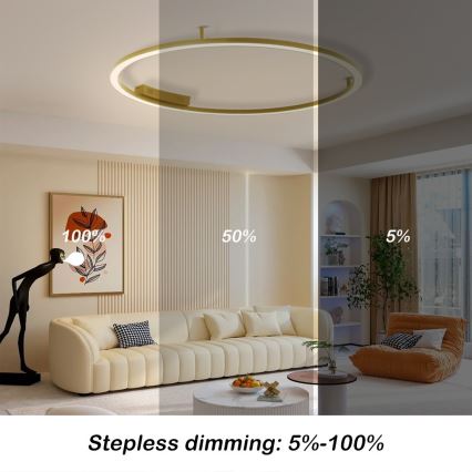 Immax NEO 07290-120G - LED+CCT Luminaria de techo regulable FINO LED/55W/230V 2700-6500K Tuya diámetro 120 cm + mando a distancia