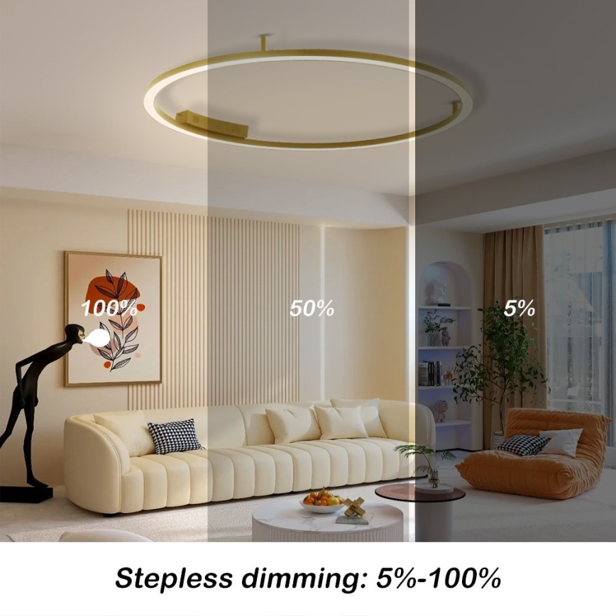 Immax NEO 07290-120G - LED+CCT Luminaria de techo regulable FINO LED/55W/230V 2700-6500K Tuya diámetro 120 cm + mando a distancia