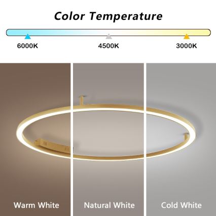 Immax NEO 07290-120G - LED+CCT Luminaria de techo regulable FINO LED/55W/230V 2700-6500K Tuya diámetro 120 cm + mando a distancia