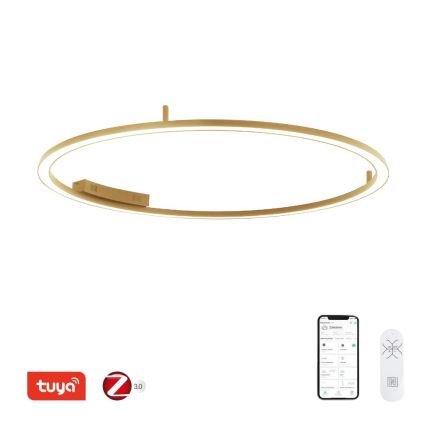 Immax NEO 07290-120G - LED+CCT Luminaria de techo regulable FINO LED/55W/230V 2700-6500K Tuya diámetro 120 cm + mando a distancia