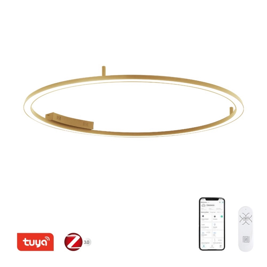 Immax NEO 07290-120G - LED+CCT Luminaria de techo regulable FINO LED/55W/230V 2700-6500K Tuya diámetro 120 cm + mando a distancia