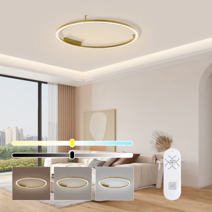 Immax NEO 07291-80G - LED+CCT Lámpara de techo regulable FINO LED/55W/230V 2700-6500K Tuya, diámetro 80 cm + control remoto