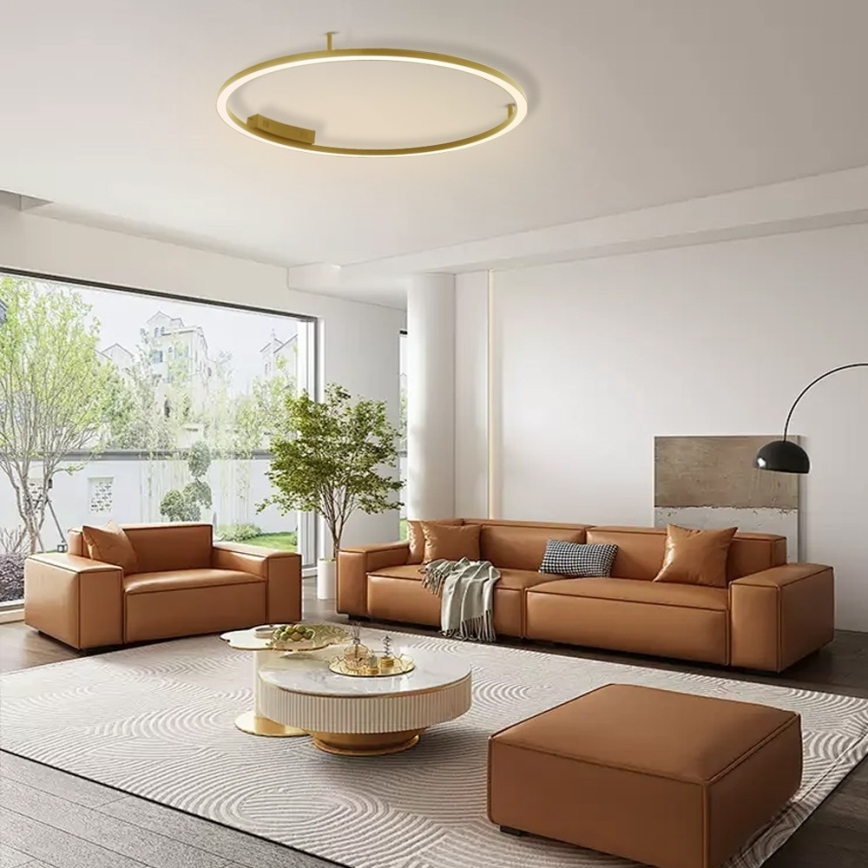 Immax NEO 07291-80G - LED+CCT Lámpara de techo regulable FINO LED/55W/230V 2700-6500K Tuya, diámetro 80 cm + control remoto