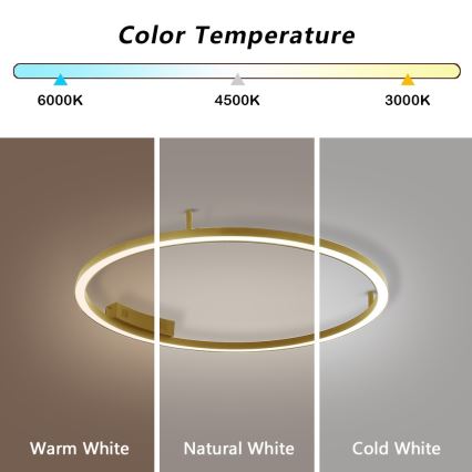 Immax NEO 07291-80G - LED+CCT Lámpara de techo regulable FINO LED/55W/230V 2700-6500K Tuya, diámetro 80 cm + control remoto
