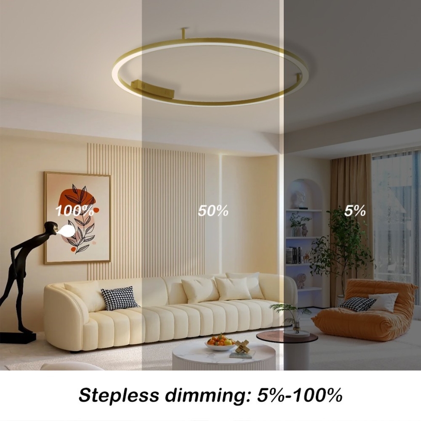 Immax NEO 07291-80G - LED+CCT Lámpara de techo regulable FINO LED/55W/230V 2700-6500K Tuya, diámetro 80 cm + control remoto
