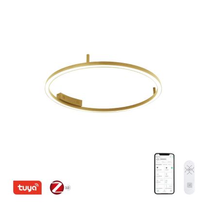 Immax NEO 07291-80G - LED+CCT Lámpara de techo regulable FINO LED/55W/230V 2700-6500K Tuya, diámetro 80 cm + control remoto