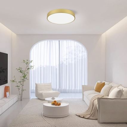 Immax NEO 07292L - Luminaria de techo LED+CCT regulable SEMPLICI LED/36W/230V 2700-6500K Ø 40 cm + mando a distancia
