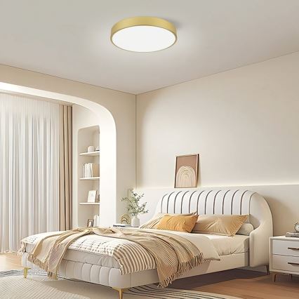 Immax NEO 07292L - Luminaria de techo LED+CCT regulable SEMPLICI LED/36W/230V 2700-6500K Ø 40 cm + mando a distancia