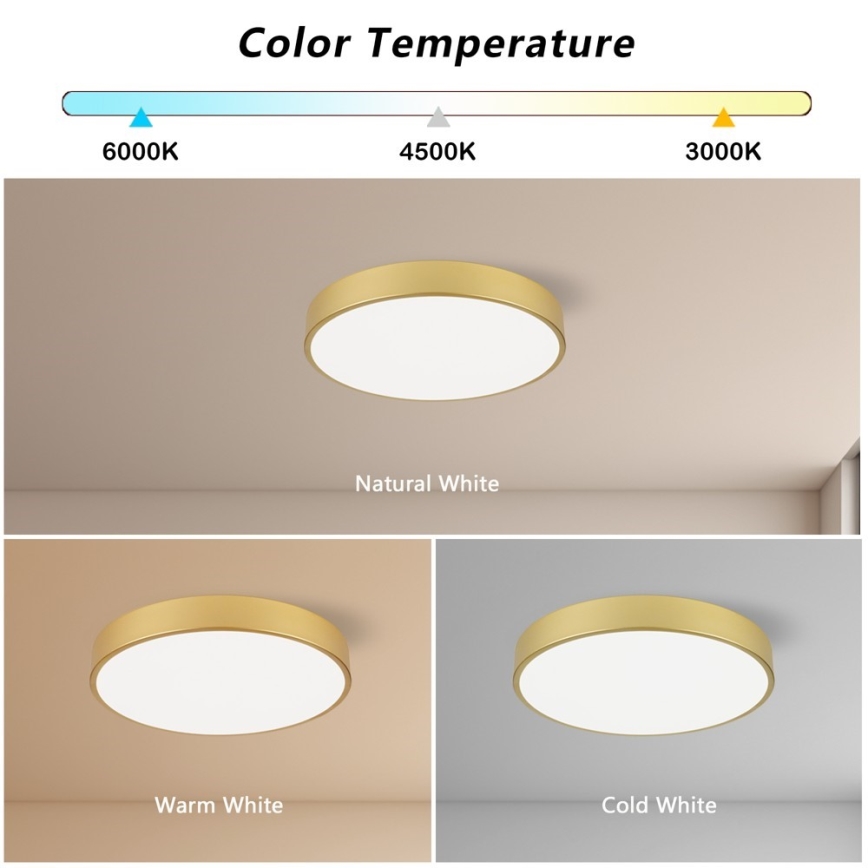 Immax NEO 07292L - Luminaria de techo LED+CCT regulable SEMPLICI LED/36W/230V 2700-6500K Ø 40 cm + mando a distancia