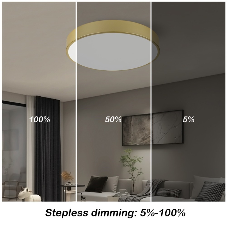Immax NEO 07292L - Luminaria de techo LED+CCT regulable SEMPLICI LED/36W/230V 2700-6500K Ø 40 cm + mando a distancia