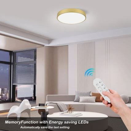 Immax NEO 07292L - Luminaria de techo LED+CCT regulable SEMPLICI LED/36W/230V 2700-6500K Ø 40 cm + mando a distancia