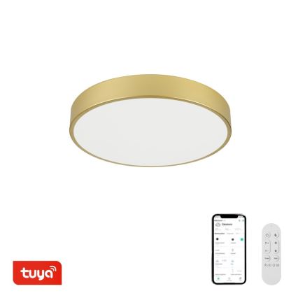 Immax NEO 07292L - Luminaria de techo LED+CCT regulable SEMPLICI LED/36W/230V 2700-6500K Ø 40 cm + mando a distancia
