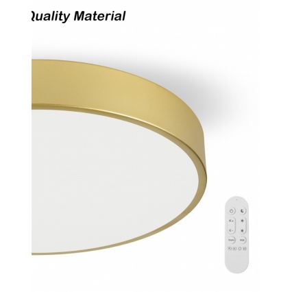 Immax NEO 07292L - Luminaria de techo LED+CCT regulable SEMPLICI LED/36W/230V 2700-6500K Ø 40 cm + mando a distancia