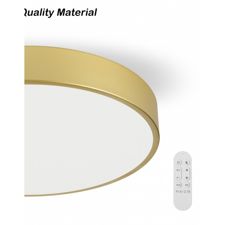 Immax NEO 07292L - Luminaria de techo LED+CCT regulable SEMPLICI LED/36W/230V 2700-6500K Ø 40 cm + mando a distancia