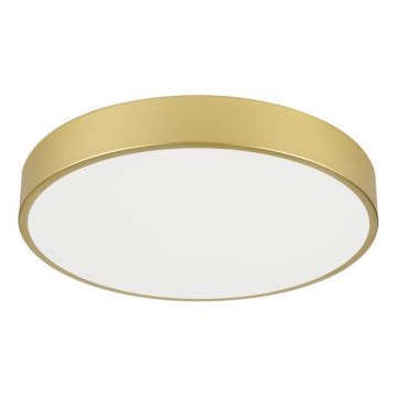 Immax NEO 07292L - Luminaria de techo LED+CCT regulable SEMPLICI LED/36W/230V 2700-6500K Ø 40 cm + mando a distancia