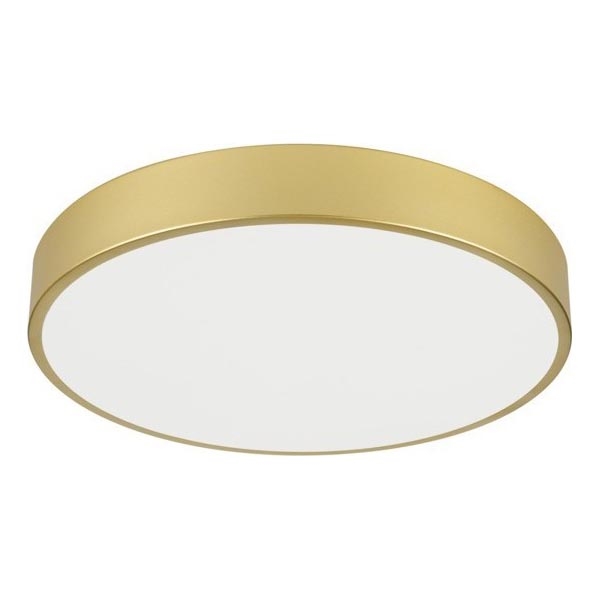 Immax NEO 07292L - Luminaria de techo LED+CCT regulable SEMPLICI LED/36W/230V 2700-6500K Ø 40 cm + mando a distancia