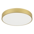 Immax NEO 07292L - Luminaria de techo LED regulable NEO LITE SEMPLICI LED/36W/230V 3000–6000K, Ø 40 cm, Wi‑Fi Tuya, color dorado + mando a distancia