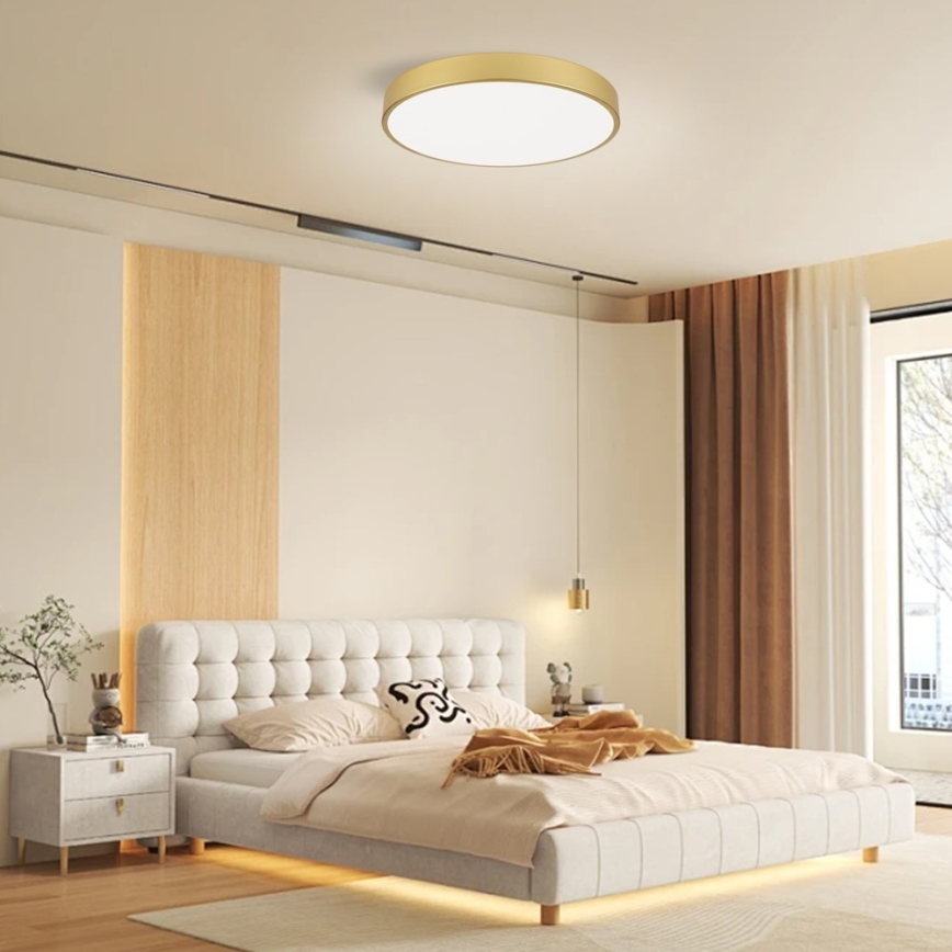 Immax NEO 07293L - Luminaria de techo regulable LED+CCT SEMPLICI LED/60W/230V 2700-6500K Ø 60 cm + control remoto