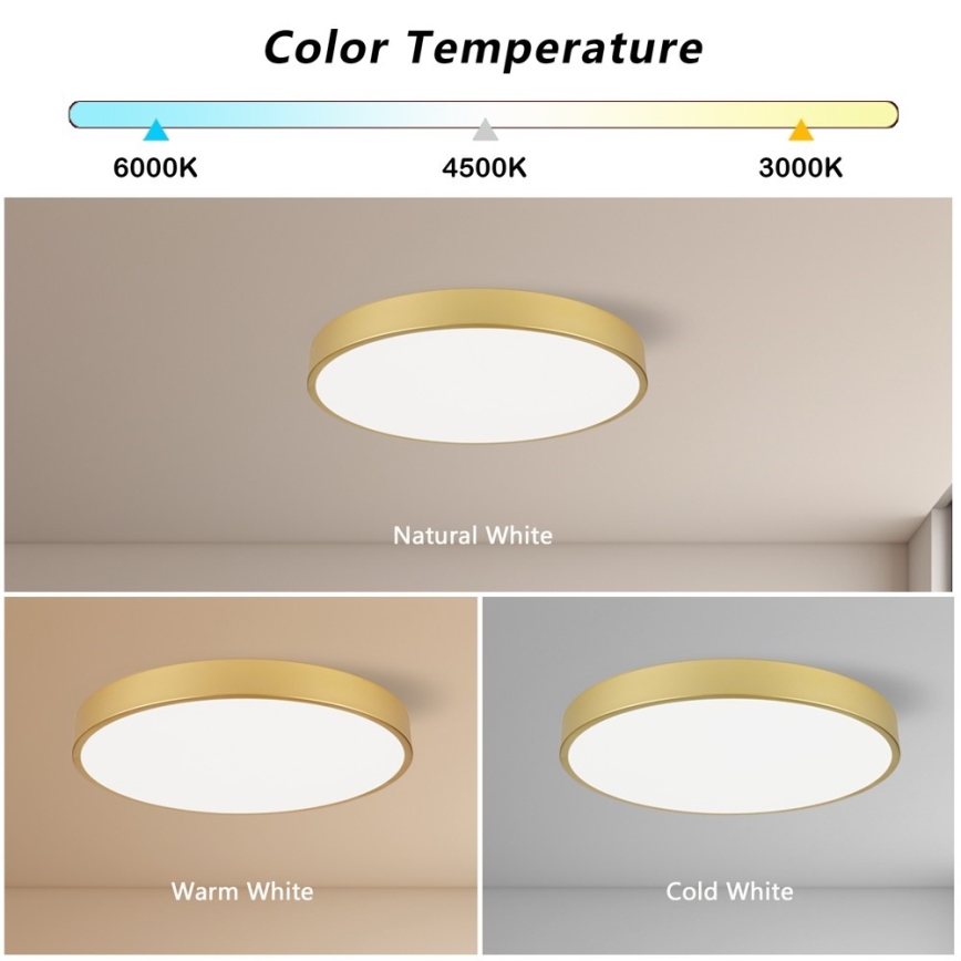 Immax NEO 07293L - Luminaria de techo regulable LED+CCT SEMPLICI LED/60W/230V 2700-6500K Ø 60 cm + control remoto