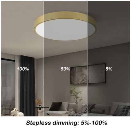 Immax NEO 07293L - Luminaria de techo regulable LED+CCT SEMPLICI LED/60W/230V 2700-6500K Ø 60 cm + control remoto