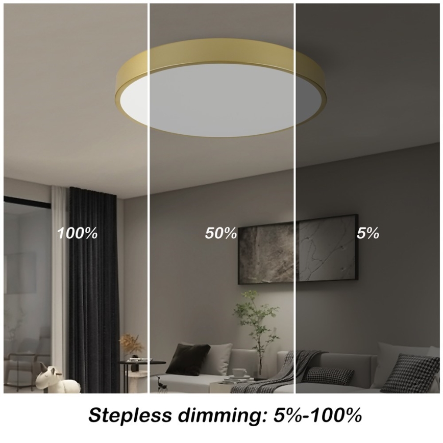 Immax NEO 07293L - Luminaria de techo regulable LED+CCT SEMPLICI LED/60W/230V 2700-6500K Ø 60 cm + control remoto
