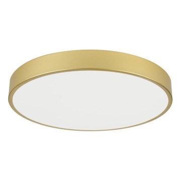 Immax NEO 07293L - Luminaria de techo regulable LED+CCT SEMPLICI LED/60W/230V 2700-6500K Ø 60 cm + control remoto