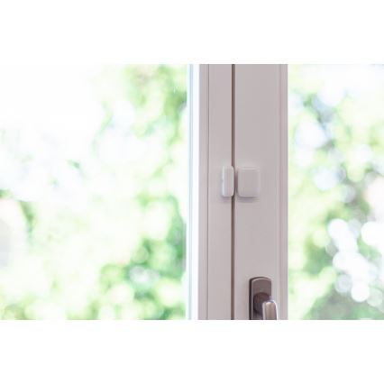 Immax NEO 07511L - SET 2x Sensor magnético para ventanas y puertas SMART 1xCR2032  Zigbee Tuya