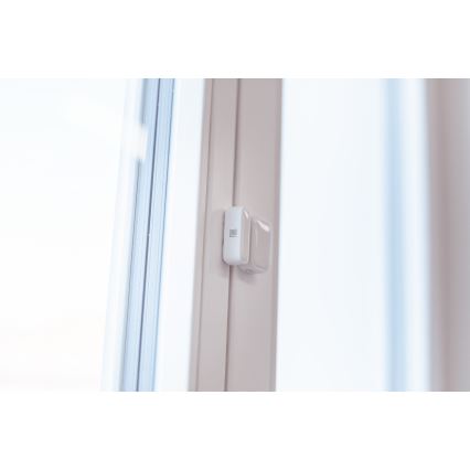 Immax NEO 07511L - SET 2x Sensor magnético para ventanas y puertas SMART 1xCR2032  Zigbee Tuya
