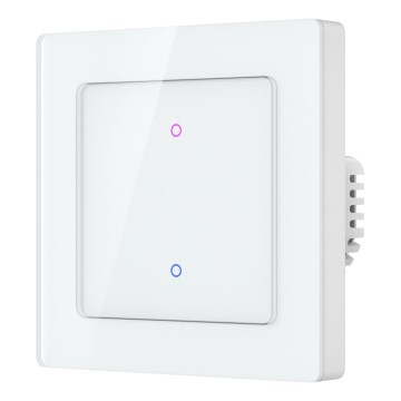 Immax NEO 07539L - Interruptor inteligente de 2 botones 230 V Wi‑Fi Tuya