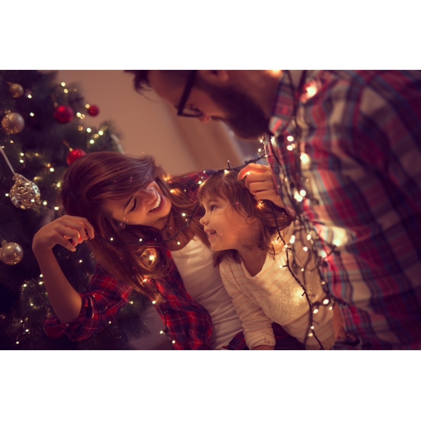 Immax NEO 07756L - Guirnalda LED regulable para exterior NEO LITE, 400 LEDs, 10 funciones, 43 m, IP44, Wi-Fi compatible con Tuya, multicolor