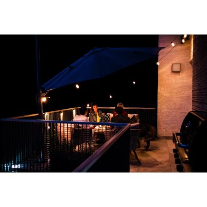LED RGB+CCT Cadena de exterior regulable GARLAND 15xLED/1W/230V 15m Wi-Fi Tuya IP65 + control remoto