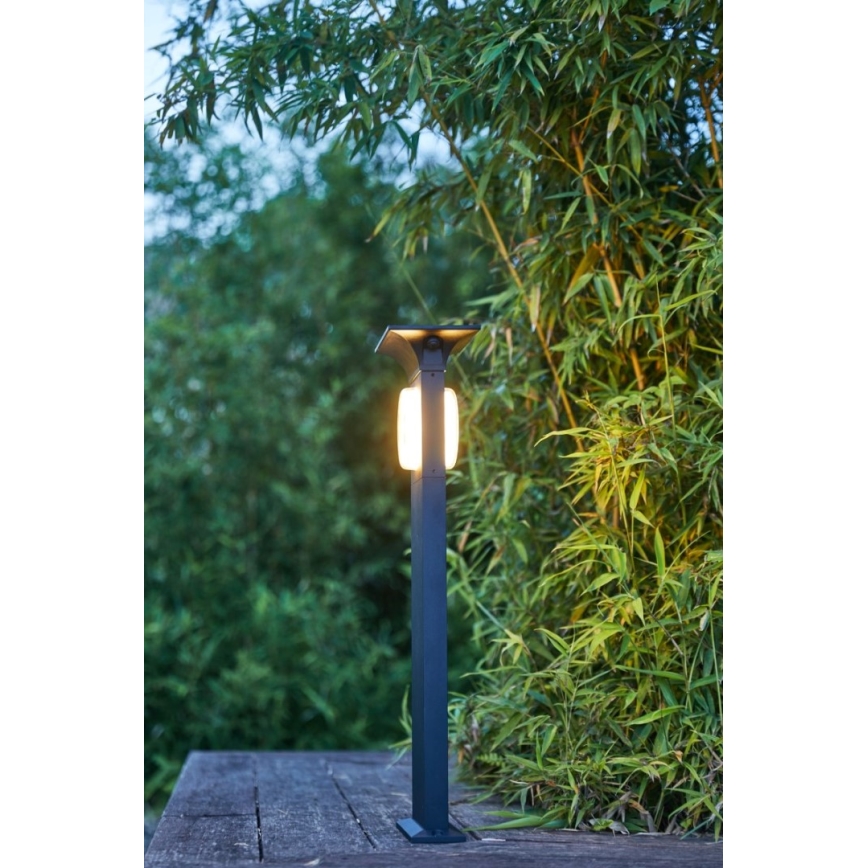 Immax NEO 07904L - Lámpara solar LED RGB + CW/W regulable ANEL LED/2W/5V IP54 Tuya 2000 mAh