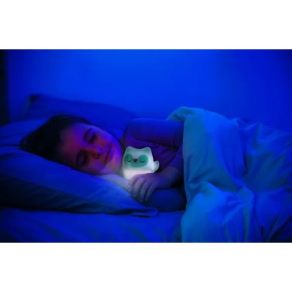 Infantino - Luz nocturna con un juguete luminoso Owl