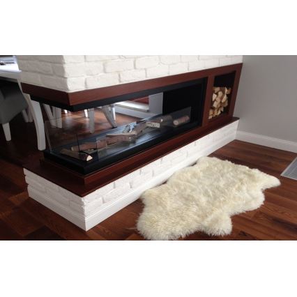 InFire - Chimenea de esquina BIO 100x50 cm 3kW bifacial