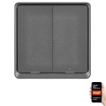 Interruptor 2 botones GoSmart 1xCR2430 Tuya negro