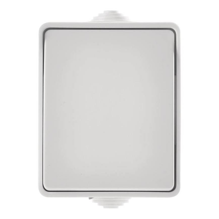 Interruptor de CA interior 250V/10A IP54