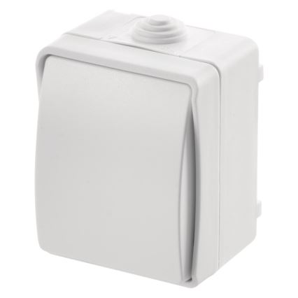 Interruptor de CA interior 250V/10A IP54