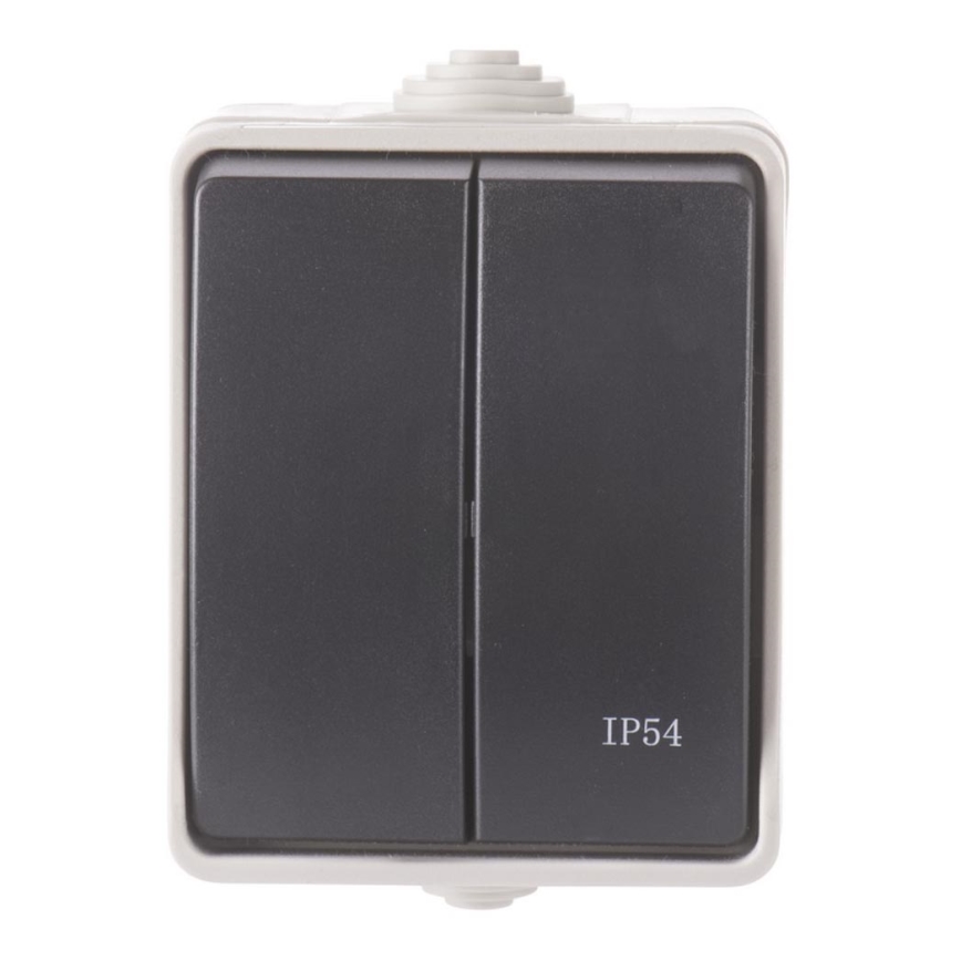Interruptor de serie interior 250V/10A IP54