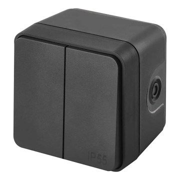 Interruptor doméstico de doble pulsador, función alterna, n.º 6+6, IP55, antracita